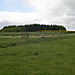 Dscn0105
