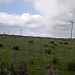 Dscn0108_2