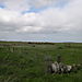 Dscn0096
