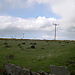 Dscn0112