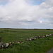 Dscn0097