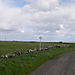 Dscn0098