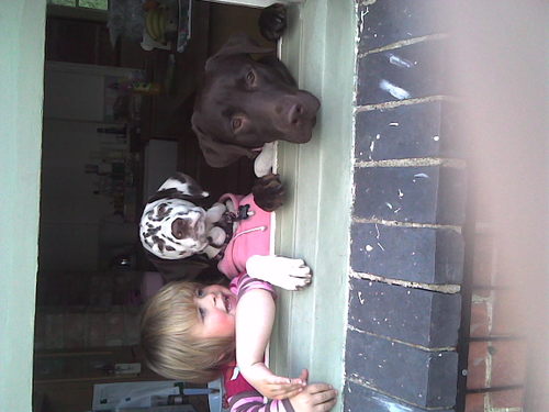 Image016