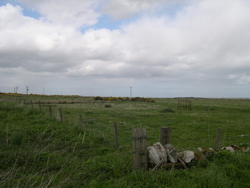 Dscn0096