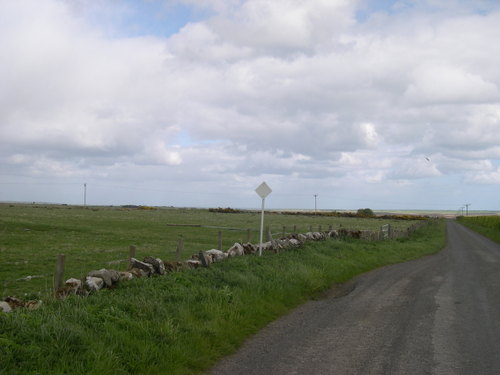 Dscn0098