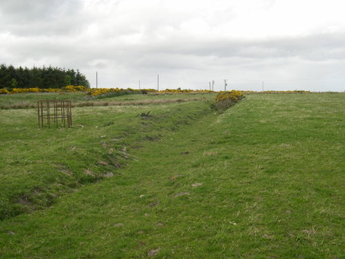 Dscn0100