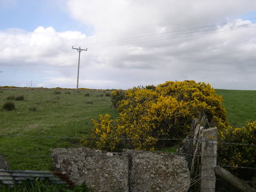 Dscn0109